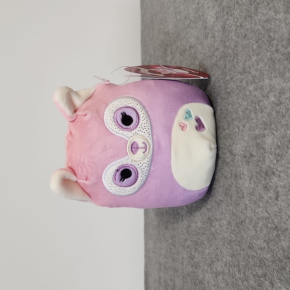 Chaitra 6" Squishmallow stuffed animal Pastel Valentines Day Raccoon